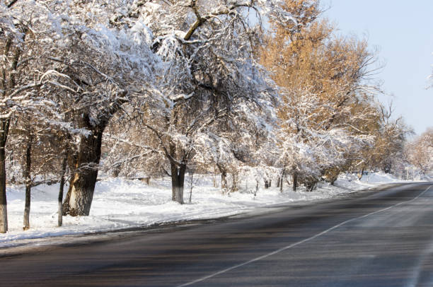 istock winter, winter-tide, winter-time 840592204