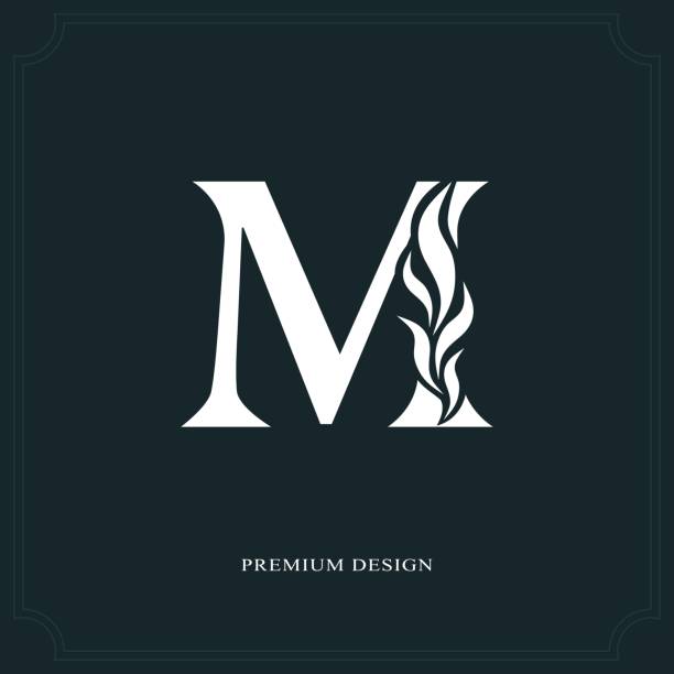 ilustrações de stock, clip art, desenhos animados e ícones de elegant letter m. graceful style. calligraphic beautiful sign. vintage drawn emblem for book design, brand name, business card, restaurant, boutique, hotel. vector illustration - 2281