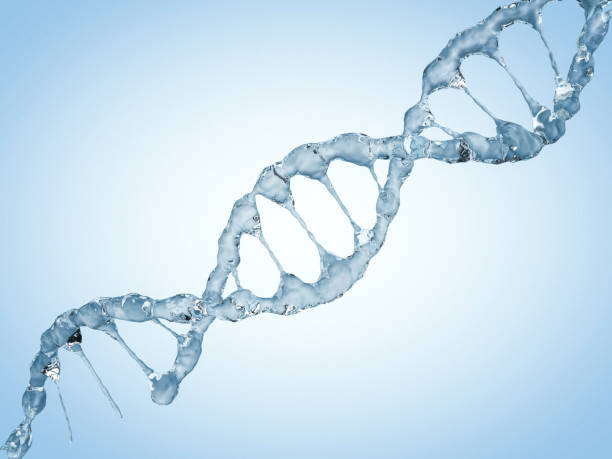 istock Close up of a diagonal DNA Chain of water. 3D rendering 840600008
