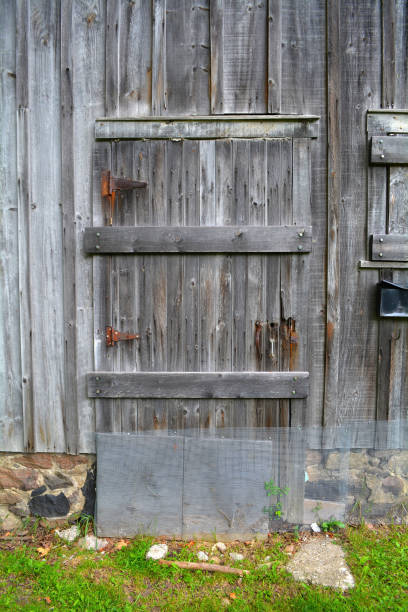 istock Barn door with rust. Unfiltered doors, with natural lighting. An old gray rustic barn surface. 840609932