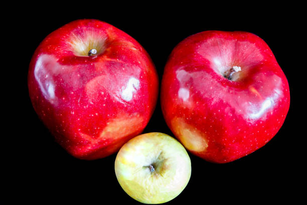 istock Two red ripe apples on black background and one wrinkled green 840618748