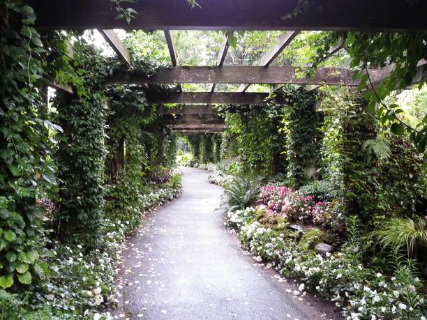 istock Entrance to Eden 840628314