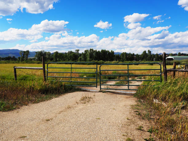istock green fence gate by a prairie 840628356