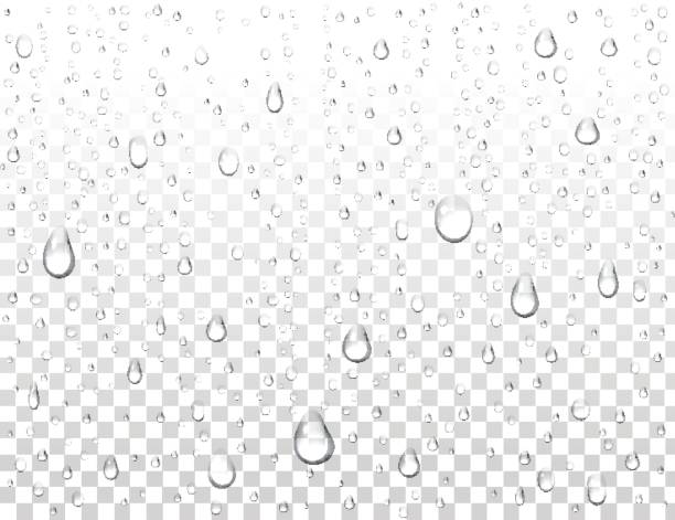 illustrations, cliparts, dessins animés et icônes de gouttes d’eau pure réaliste sur fond isolé. condensation de l’eau propre de goutte. condensation de douche de vapeur sur la surface verticale. illustration vectorielle. - condensation