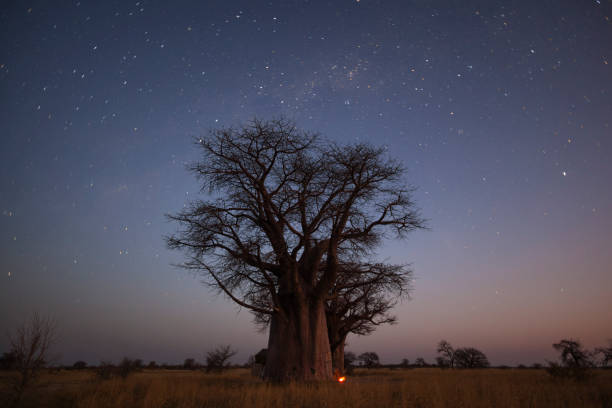 istock Camping under the stars at Baines 840636208