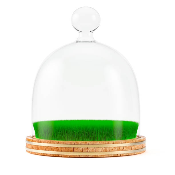 istock Grass under glass dome on wooden plate 840640000