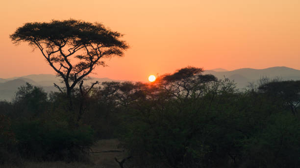 Sunrise over an African landscape. Photo taken at sunrise in Chikwawa District near the Majete Wildlife reservation in southern Malawi in August 2017. malawi stock pictures, royalty-free photos & images