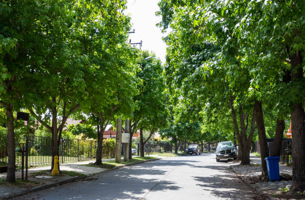 istock Street in Talca 840650380