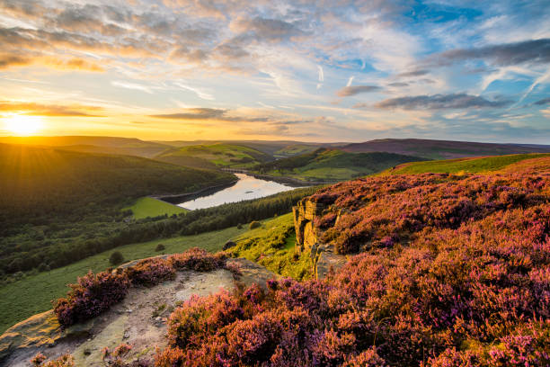 istock Vibrant Sunset With Purple Heather In Peak District. 840650886