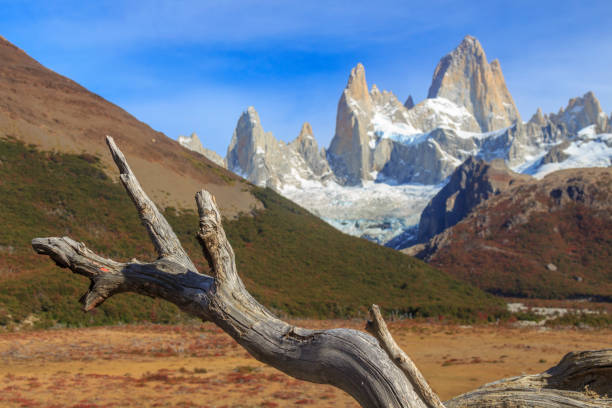 istock Dry trunk near Fitz Roy mountain 840658184