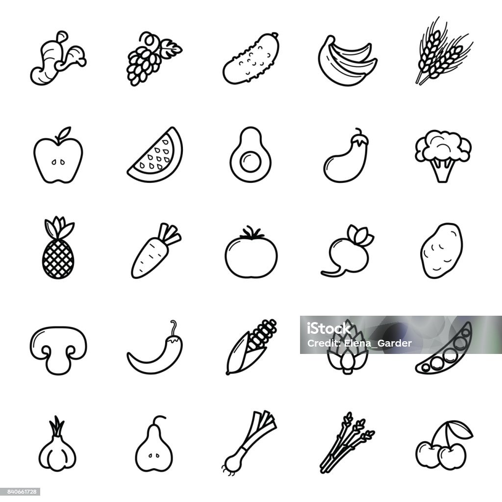 Conjunto de iconos de frutas y hortalizas. Pictogramas de bio natural vegano. Alcachofa, espárrago, trigo, plátanos, uva, puerro, ajo, jengibre y otros signos de alimentos orgánicos - arte vectorial de Contorno libre de derechos