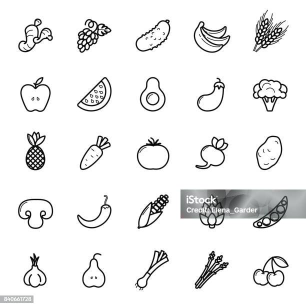 Fruit And Vegetables Icon Set Vegan Natural Bio Pictograms Artichoke Asparagus Wheat Bananas Grapes Leeks Garlic Ginger And Others Organic Food Signs Stock Illustration - Download Image Now