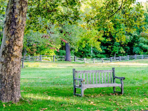 istock Wooden Bench in a Park 840665048