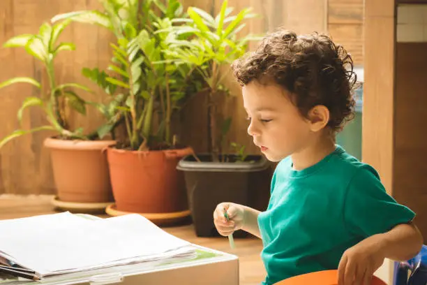 Little boy scribbling and studying, in a desk with some plants in the background.