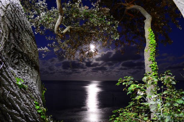 istock Full Moon Over The Sea 840683004