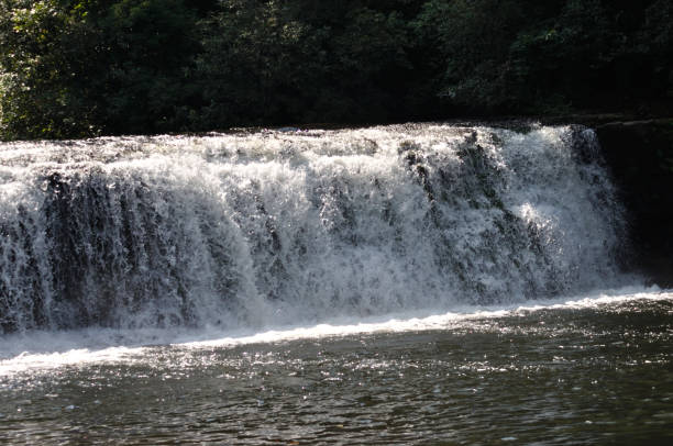 フッカー滝 - dupont state forest ストックフォトと画像