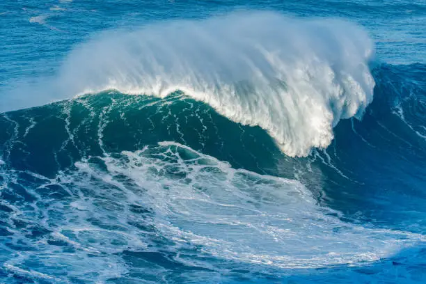 A huge wave breaking in Nazare, Portugal.