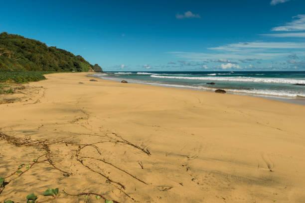 istock Fernando de Noronha - Brazil (Boldró Beach) 840696032