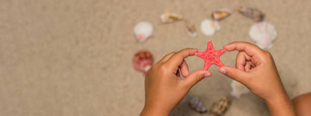 istock Child holds red starfish. Sea shells on sandy beach. Summer background. 840696866