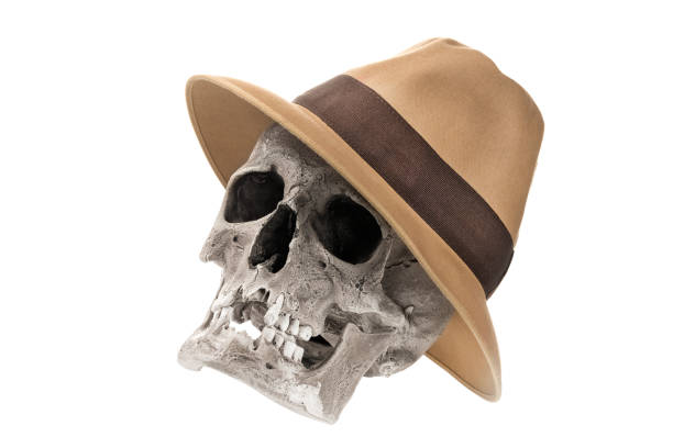 3D Human Skull with Glasses and Cap - Color Background - 3D Rendering