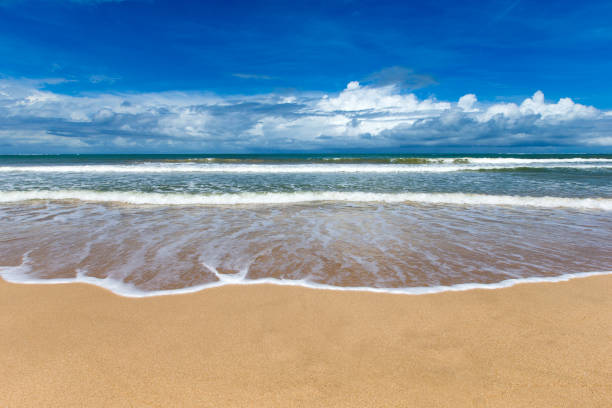 istock beach and tropical sea 840703464