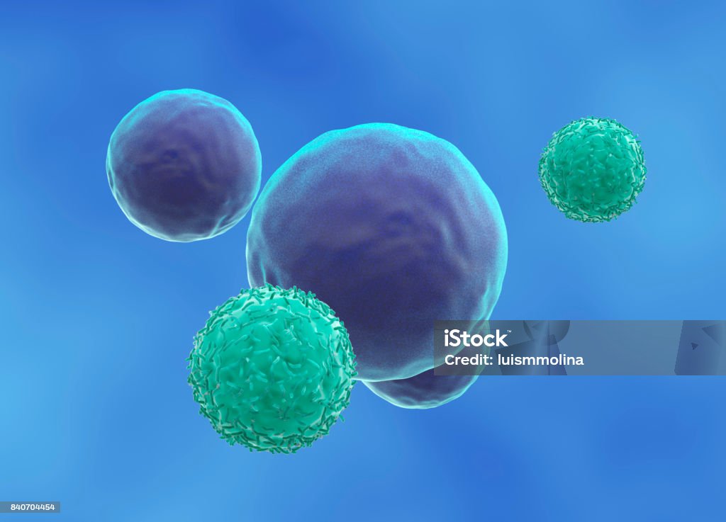 Killer T-Lymphocyte approaching a cancer cell T-Cell Stock Photo
