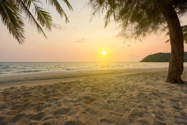 istock Sunset sky over tropical sea with beautiful beach and coconut tree 840704708
