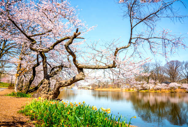 istock The beauty of spring 840707492