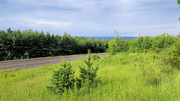 istock ALONG THE ROADSIDE IN NORTHERN ONTARIO CANADA 840708040