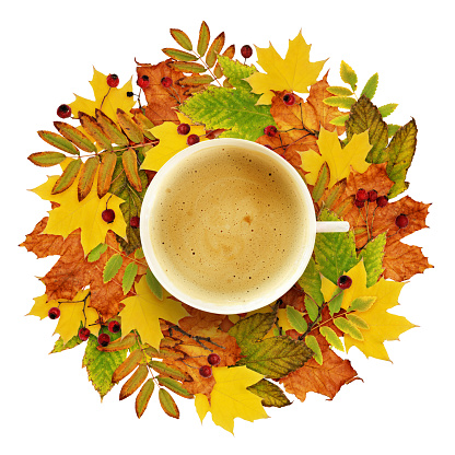Cup of coffee with autumn decoration from dry colored leaves isolated on white background