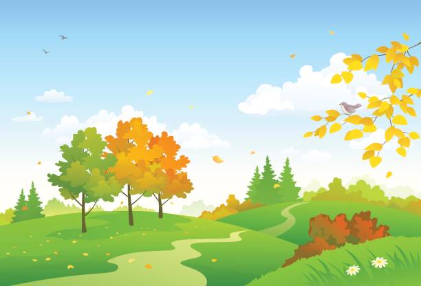 Cartoon autumn woodland Vector cartoon drawing of a colorful autumn woodland rolling landscape stock illustrations