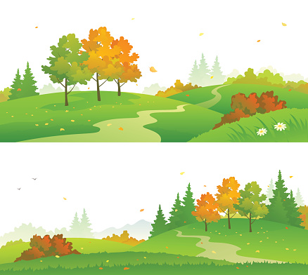 Vector illustration of a colorful autumn forest, panoramic banners isolated on white