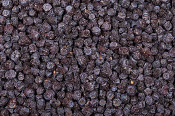 istock Dried blueberries in plate, close up 840726390