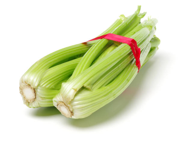 celery isolated on white background - 11275 imagens e fotografias de stock