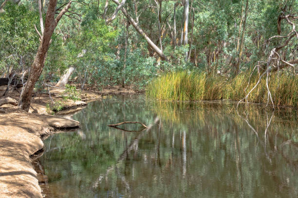 istock Wilpena Creek - Wilpena Pound 840732716