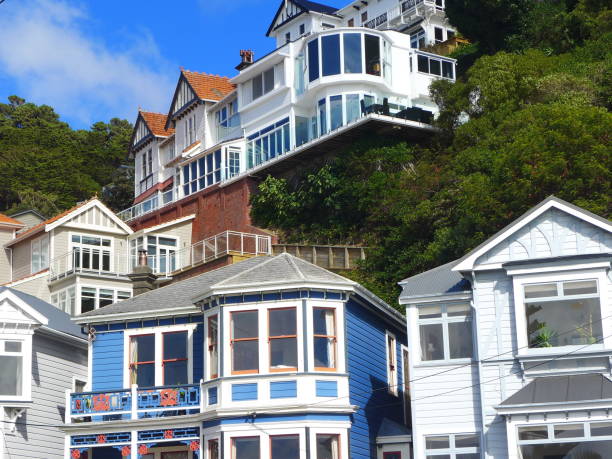 istock Colourful houses on Wellington foreshore 840737516