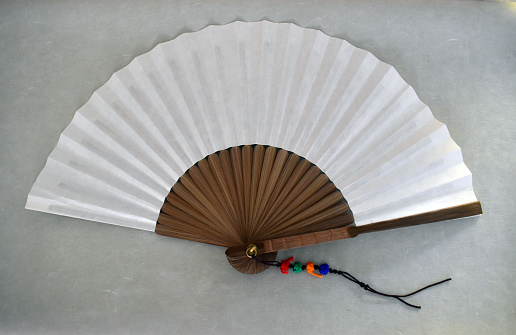 Korean Traditional Folding Fan