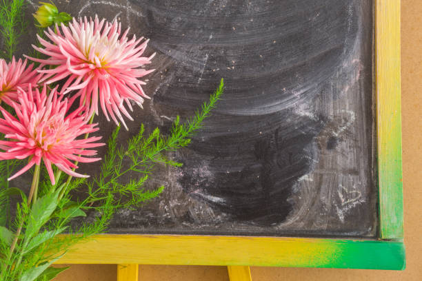 istock Greeting card with fresh aster flowers. Education celebration concept. Empty place for a text on the school blackboard. 840750914