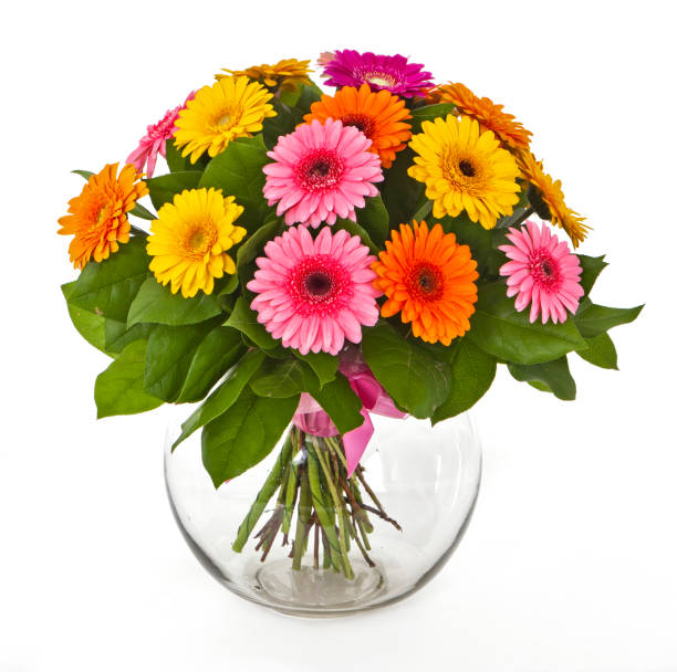 istock bouquet of gerberas in vase isolated on white 840754246
