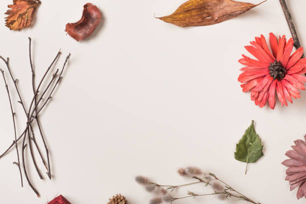 istock Minimalist composition of autumn plants 840758432