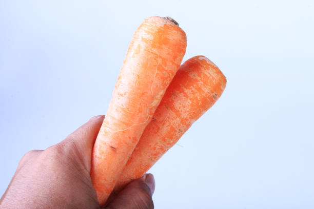 marchewka - carrot isolated bunch baby carrot zdjęcia i obrazy z banku zdjęć