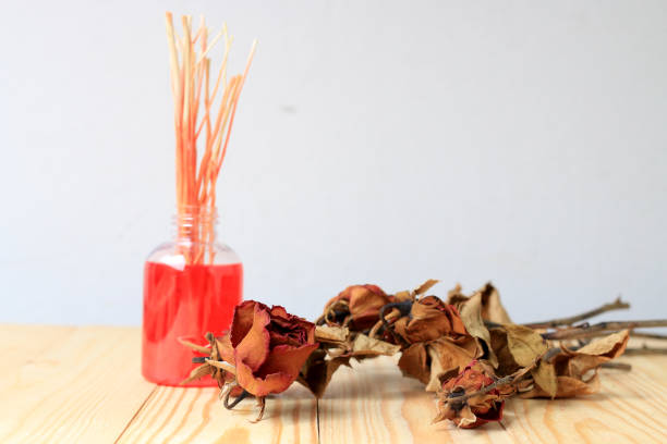 istock Hand made pf Fragrance Diffuser Set: bottle with aroma sticks and dry red rose (reed diffusers), a spray bottle with perfume on pine wood table with wall background. 840769884