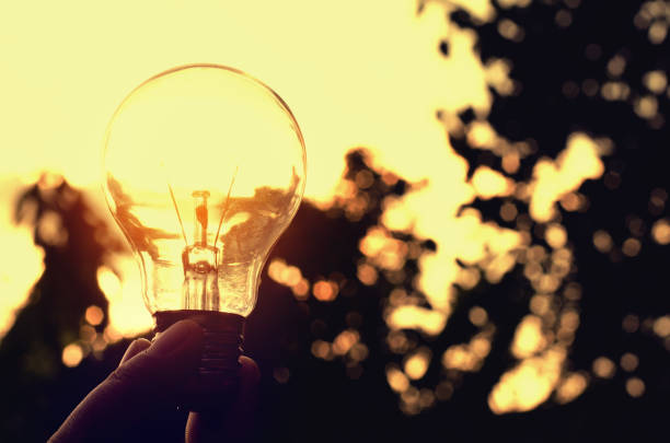 istock power energy in nature and light bulb with sunset concept electric saving 840773348