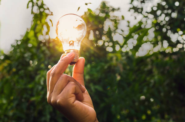 power energy in nature and hand holding light bulb with concept electric saving