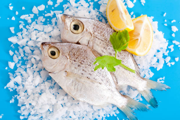 Raw fish