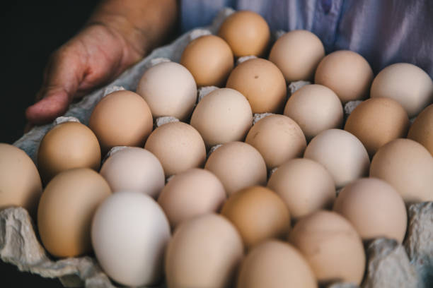 istock Close-up of eggs in carton 840789562