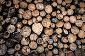 istock Firewood Woodpile 840789884