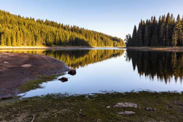 istock Coastline of a calm lake 840793316