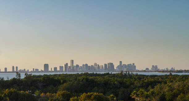 istock Skyline of Miami 840803170