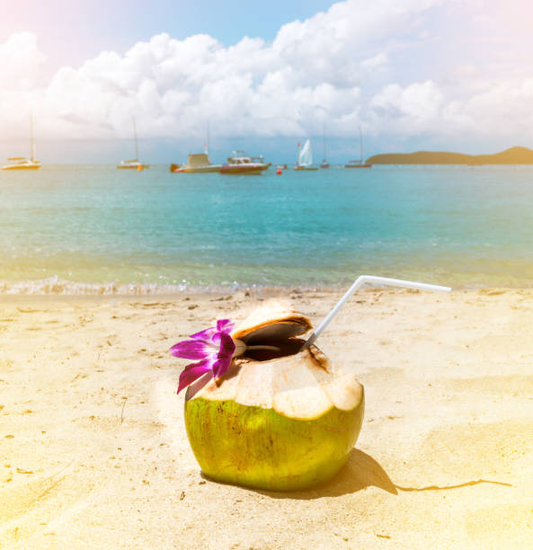 istock coconut drink on the sand ocean beach island, blue cloud sky is nice day, copy space. 840803486